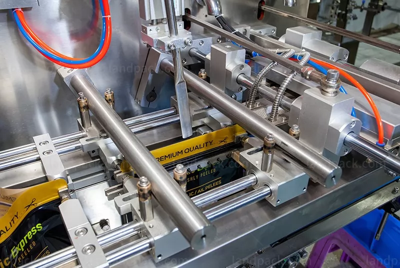 ginger garlic packing machine