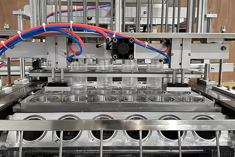 cup filling and sealing machine