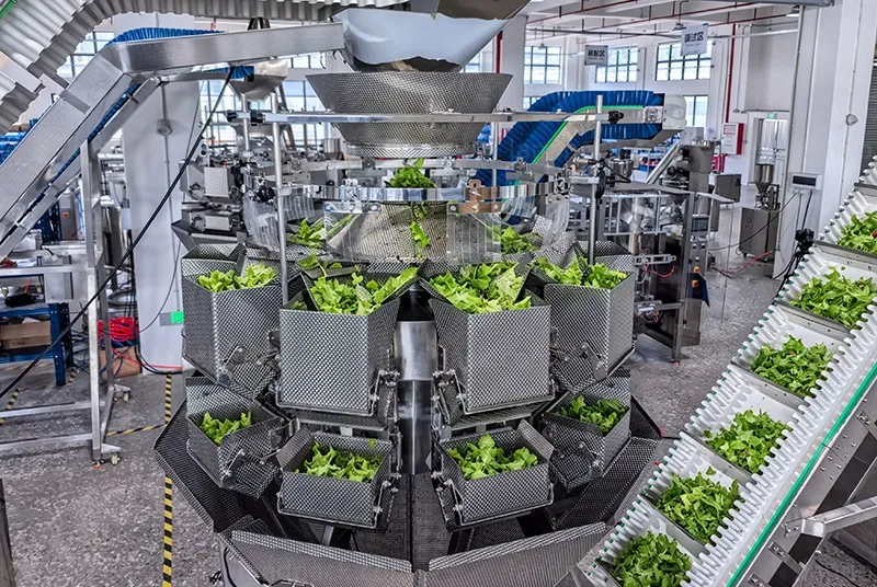 lettuce packaging machine lettuce packaging machine