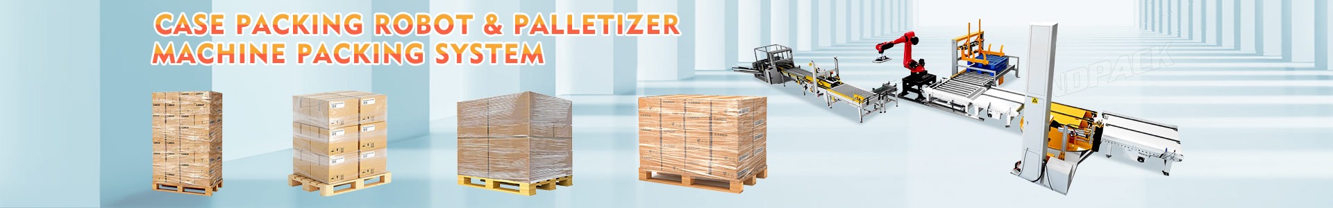 case packing system