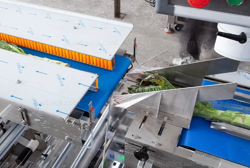 fresh vegetable packaging machine fresh vegetable packaging machine