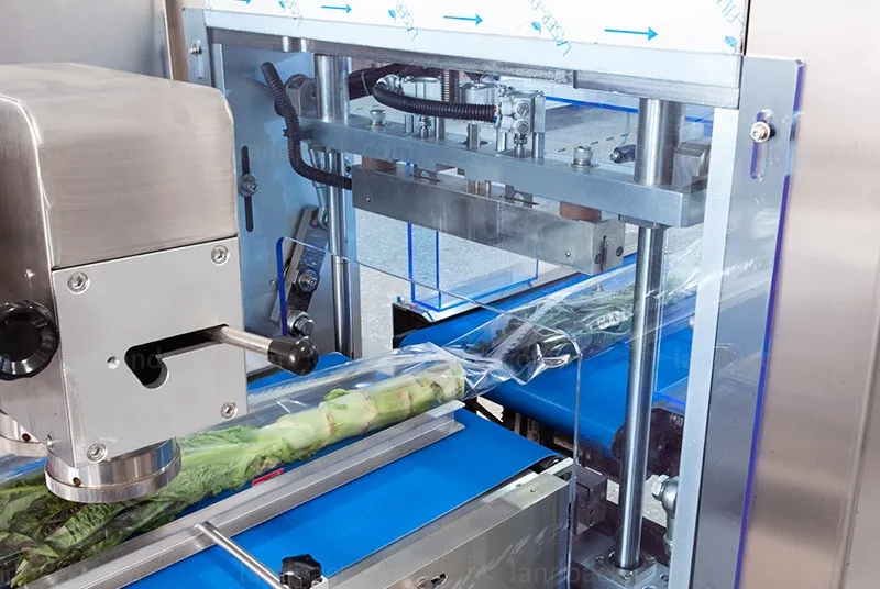 fruit and vegetable packaging machine fruit and vegetable packaging machine