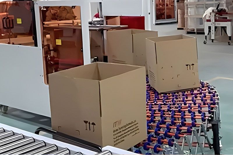 Professional Case Packing System With Heat Shrink Machine