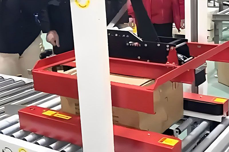 Professional Case Packing System With Heat Shrink Machine
