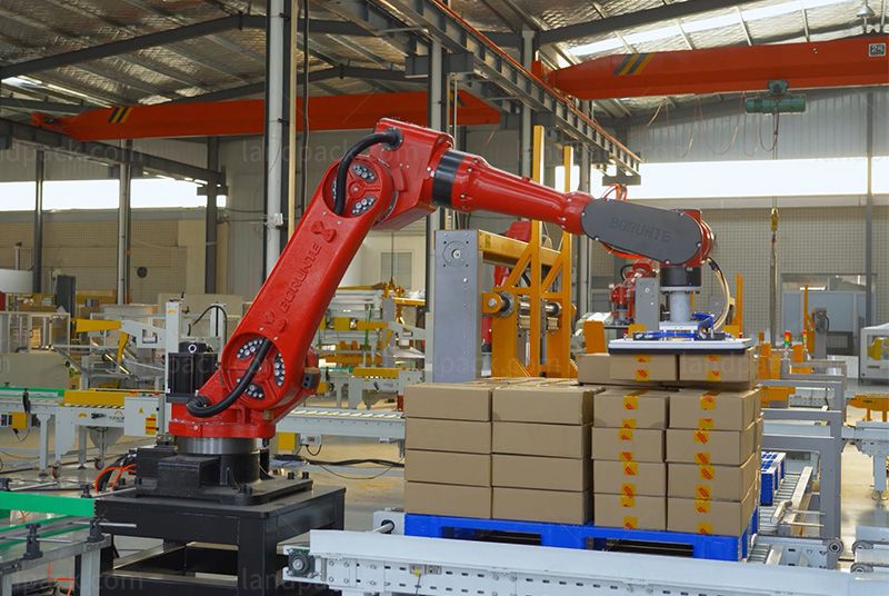 Case Packing Robot
