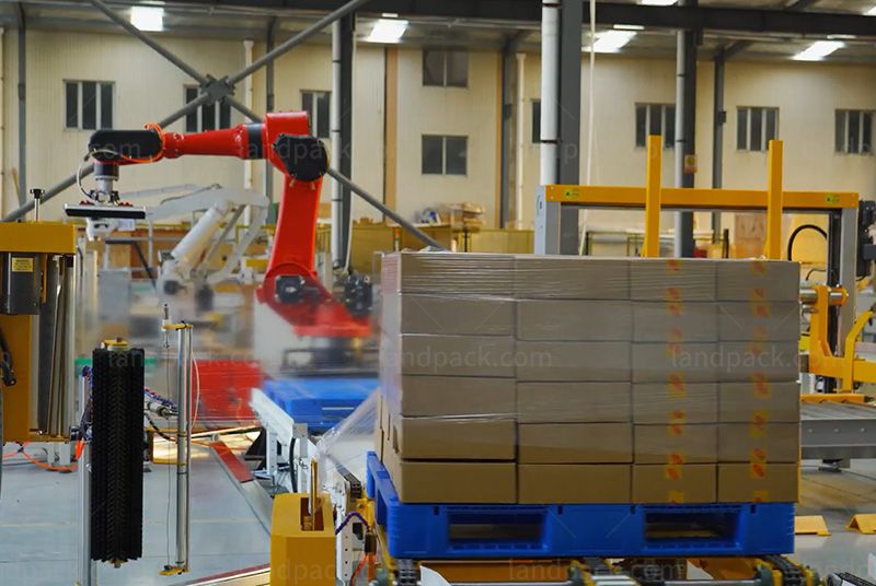 Case Packing Robot