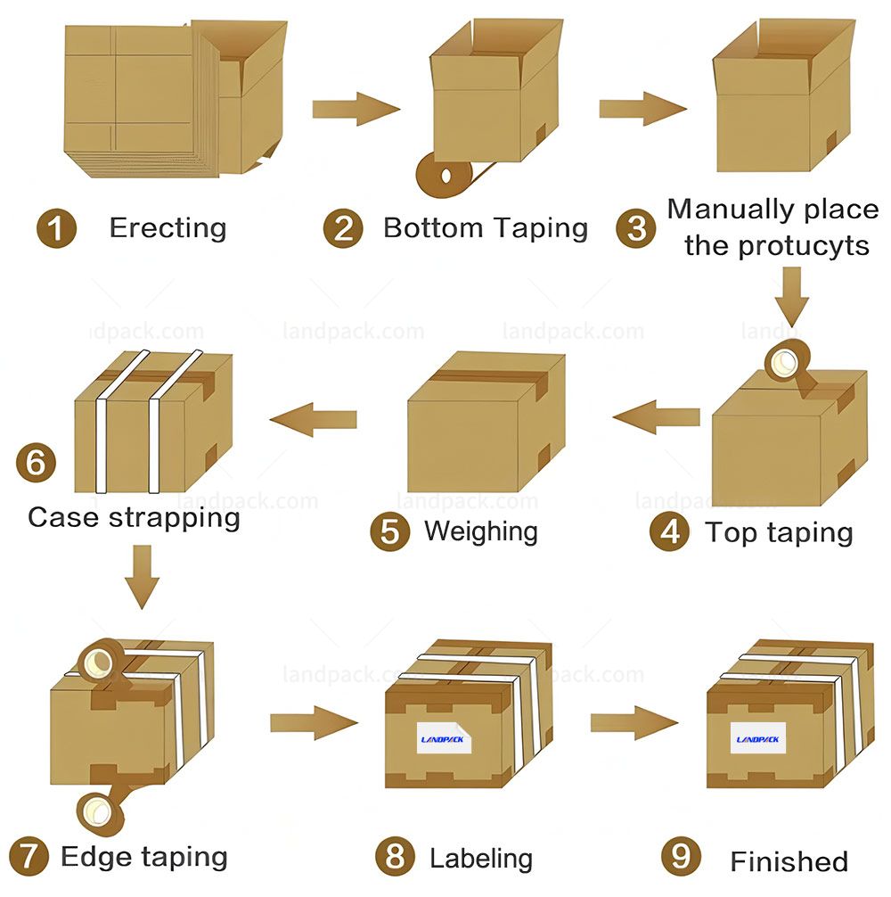 case packing system