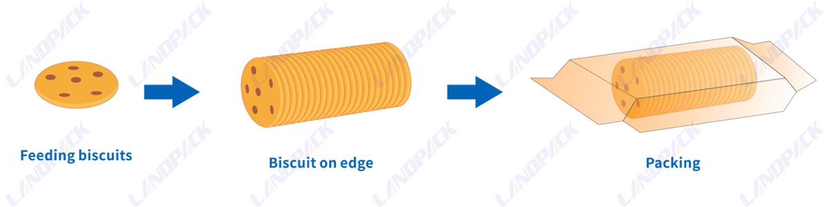 Automatic Feeding Packing Line Horizontal Biscuit Packaging Machine