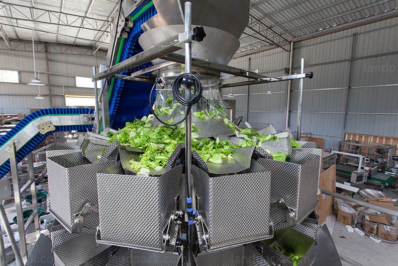 Automatic Ice Cubes Vertical Pouch Filling Weighing Packaging Machine