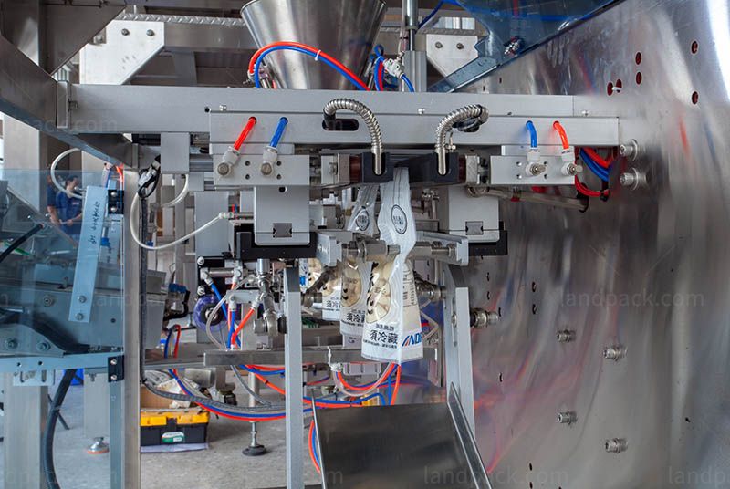 Pickles Achar Packing Machine | Automatic Premade Zipper Pouch Packaging Machine