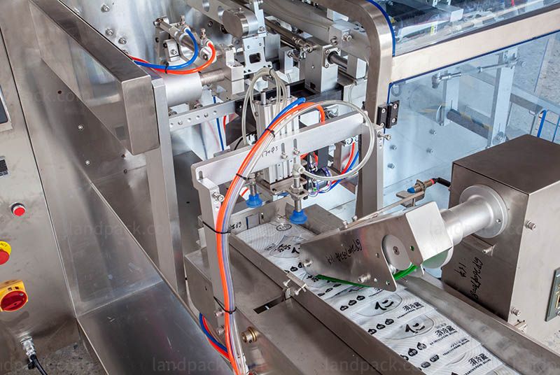 Pickles Achar Packing Machine | Automatic Premade Zipper Pouch Packaging Machine