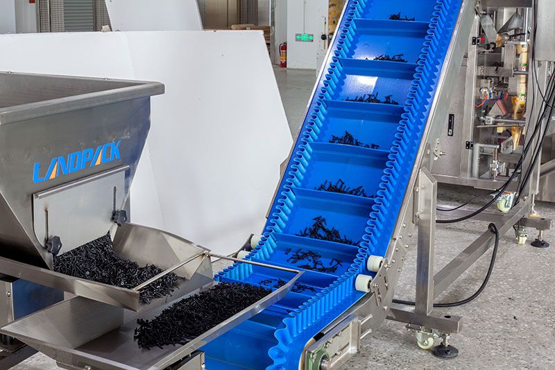 Belt Feeding Conveyor
