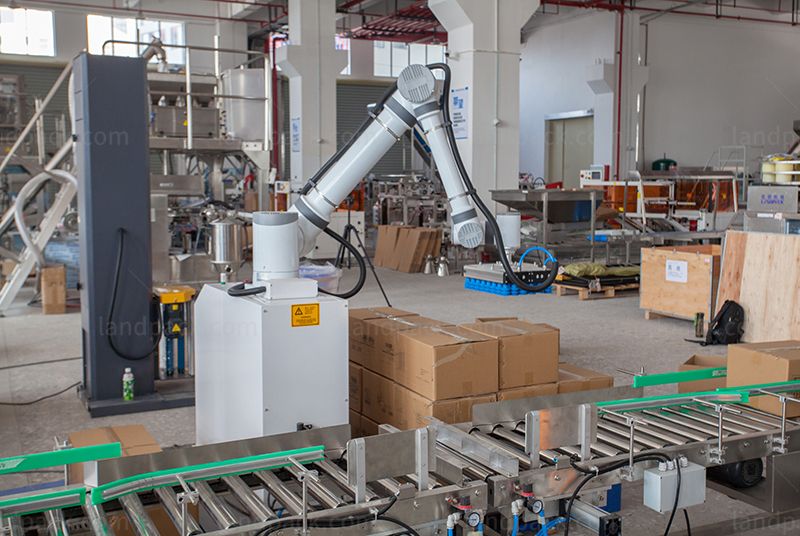 Bagging Cartoning Palletising System | Automatic Horizontal Pouch Packing System