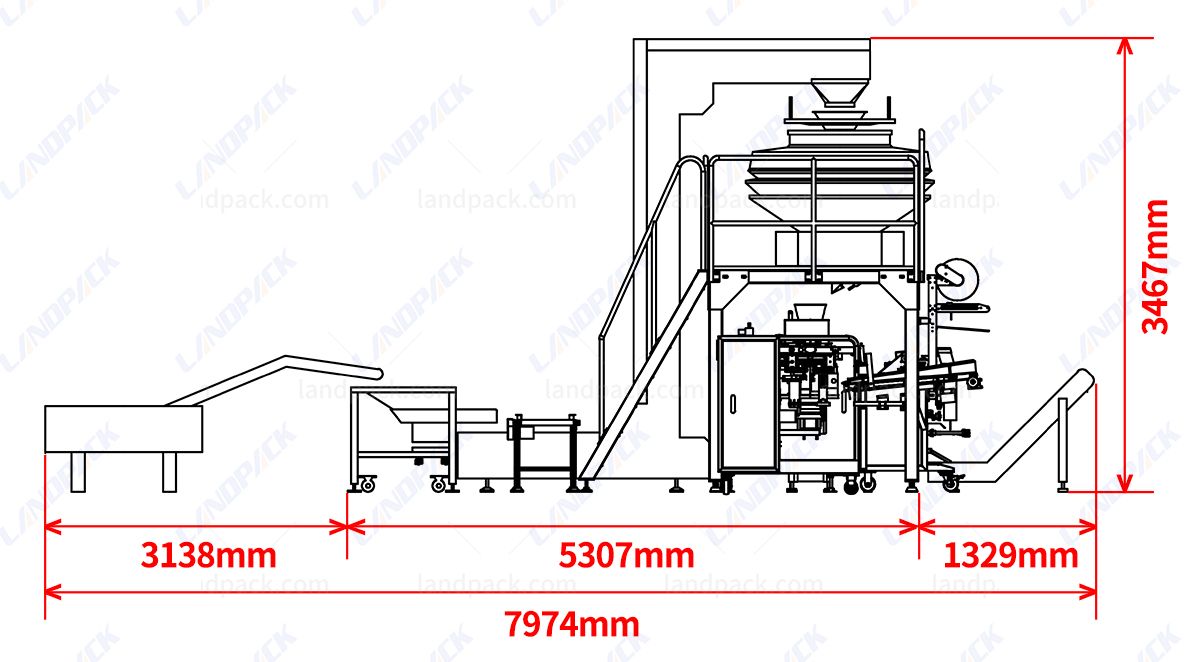 Automtaic Dry Fruit Packing Machine | Horizontal Form Fill Seal Machine