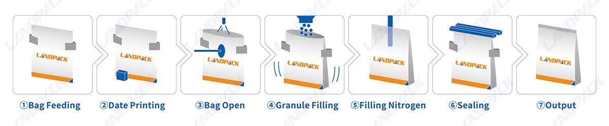 Automatic Garlic Packing Machine Horizontal Doypack Pouch Packaging Machine