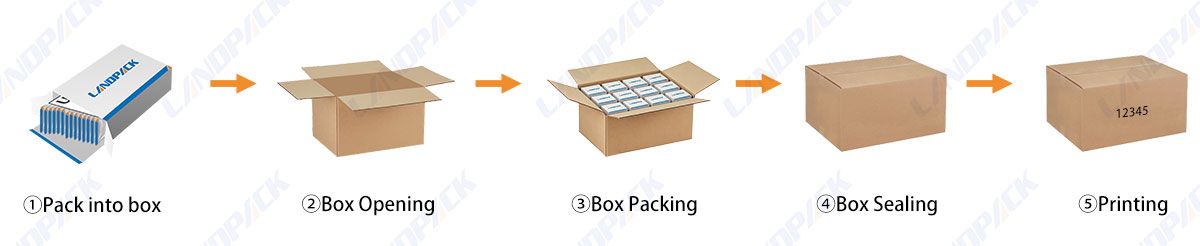 End of Line Packaging | Automatic Case Packing Robot Packing Systems