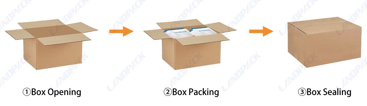 Case Packing Robot Automatic Grab Type Compact Shipping Case Erector and Packer