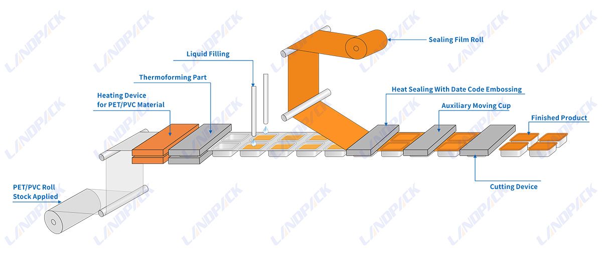 Sauce Cup Filling Machine Liquid Cup Filling and Sealing Machine Sauce Cup Filling Machine Liquid Cup Filling and Sealing Machine